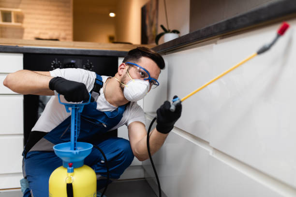 Best Emergency Pest Control  in Austin, TX