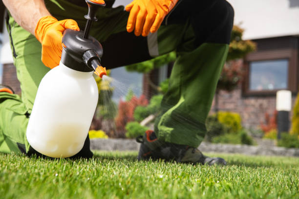 Trusted Austin, TX Pest Control Experts