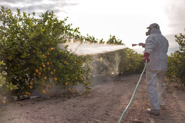 Best Commercial Pest Control Services  in Austin, TX