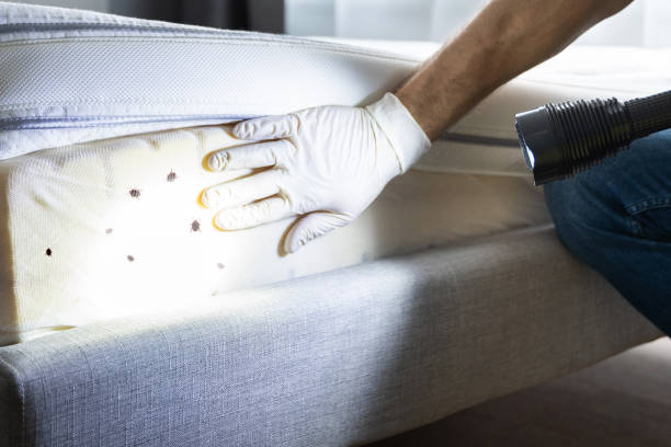 Best Best Pest Control Companies  in Austin, TX