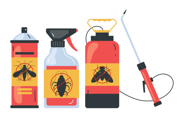 Best Spider Control Near Me  in Austin, TX