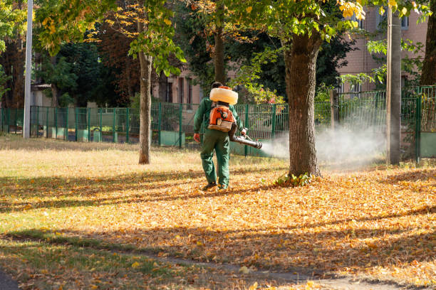 Best Flea Control Services  in Austin, TX