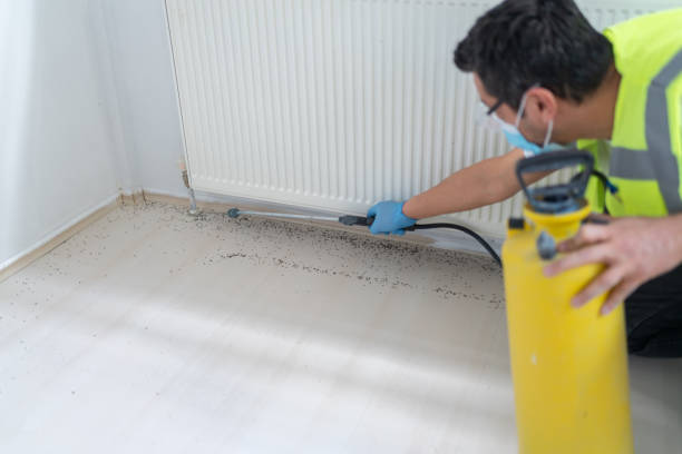 Best Affordable Pest Control Services  in Austin, TX