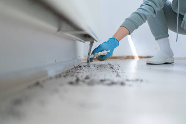 Best Mosquito Control Services  in Austin, TX
