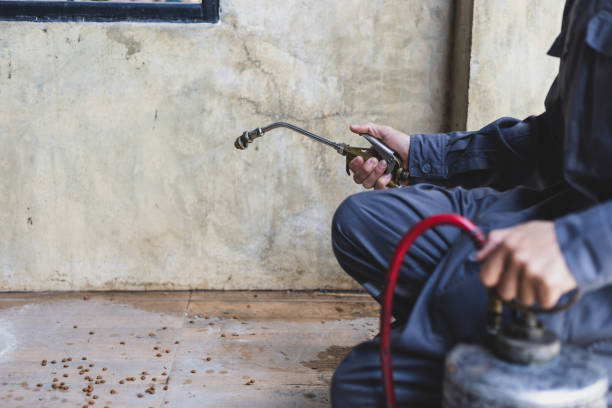 Best Pest Control Near Me in Austin, TX